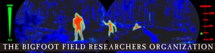 Bigfoot Field Researchers Organization