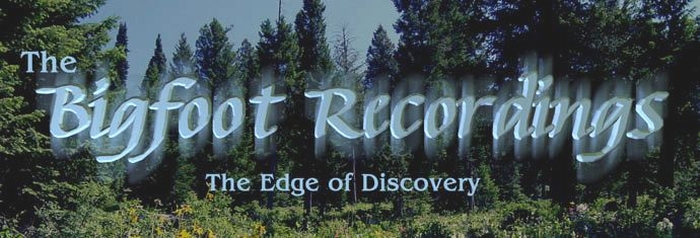 The Bigfoot Recordings or Sierra Sounds recorded by Ron Moorehead and Alan Berry.